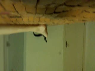 把外借的母狗女友帶回家後接續操她EJ小情侶