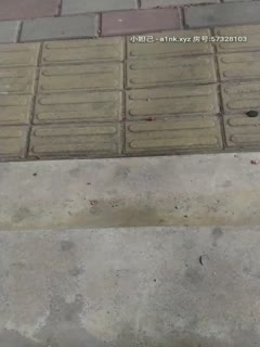 原创作品申请自拍达人论坛邀请码，一镜到底验证