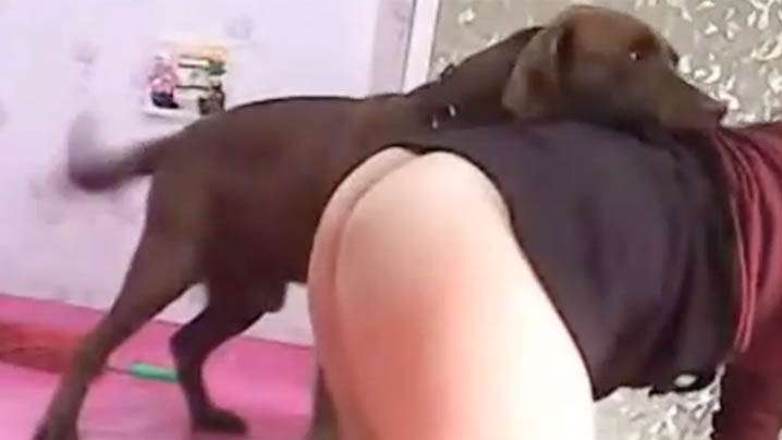 [HD 4.12G] SAME220 侵入者 花守夏歩