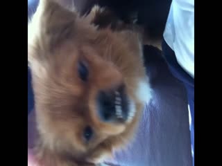 REBD980 Julia17黄昏激情！极品爆乳人妻被狂干到淫水横流