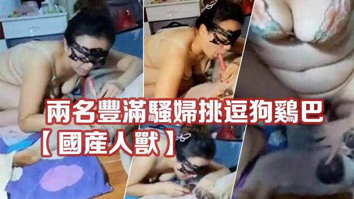 [无码破解]SORA624 欺负我的DQN占领了我的房子，强了我一个星期！我那长相普通但胸部隐藏很大的妹妹被四人轮，作为替代，而我看着她高潮竟然勃起了。奎 苏纳奥