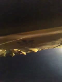 我们根本无法等到回家直接在公园解决